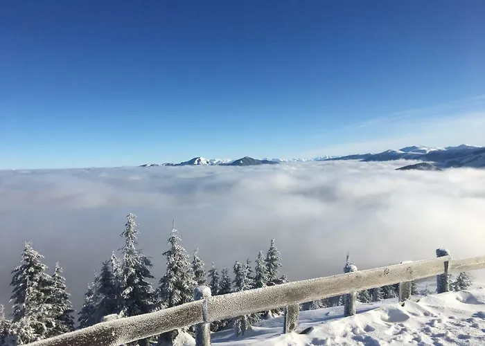 Safran Lux Apartman Dóval